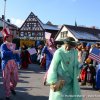 Faschingszug 2013_329